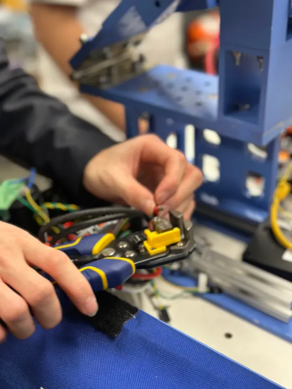 BUILD SEASON - IMG_7996